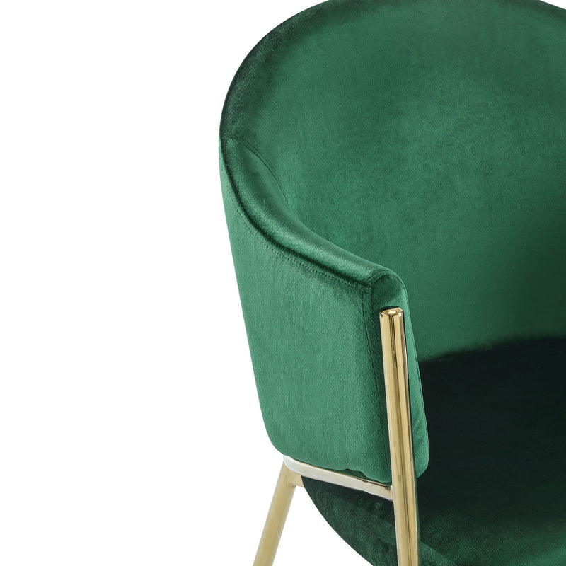 Modern Upholstered Dining Chair With Frame And