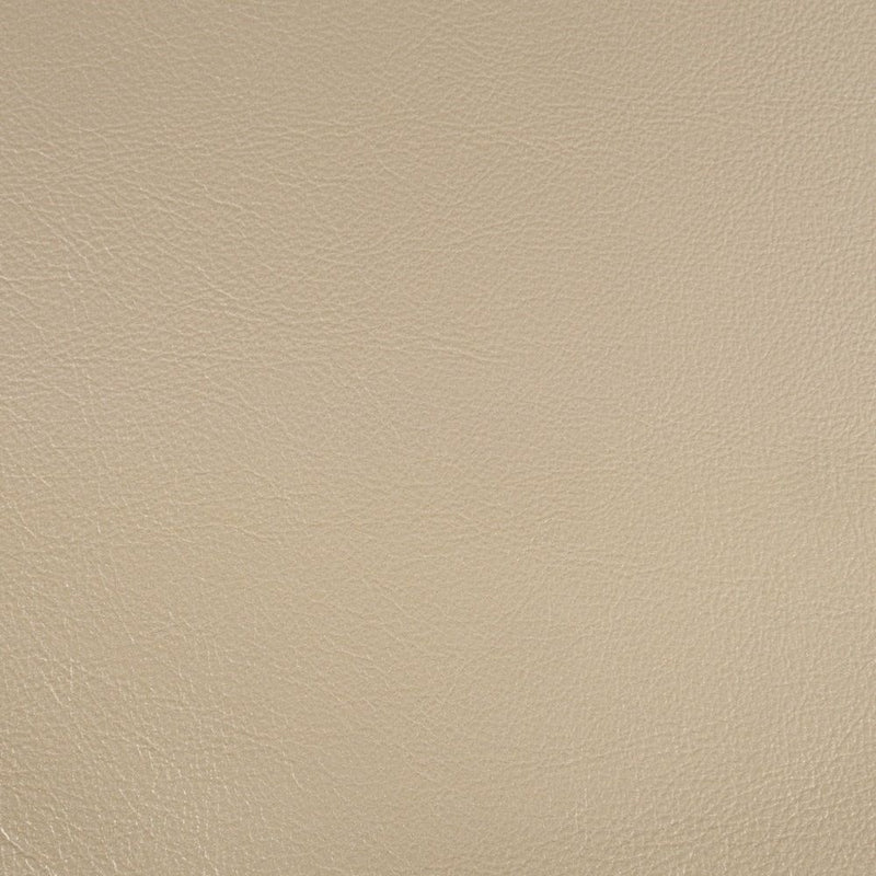 Danae - Side Chair (Set of 2) - Synthetic Leather , Champagne & Gold